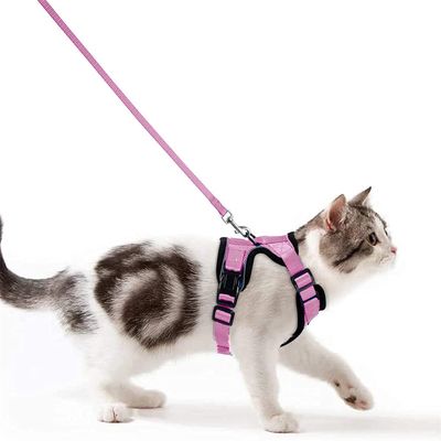 IntiMeg Harnais et Laisse pour Chat et Petit Chien
