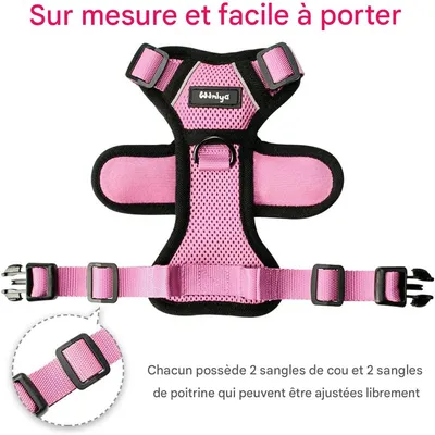IntiMeg Harnais et Laisse pour Chat et Petit Chien IntiMeg Harnais et Laisse pour Chat et Petit Chien