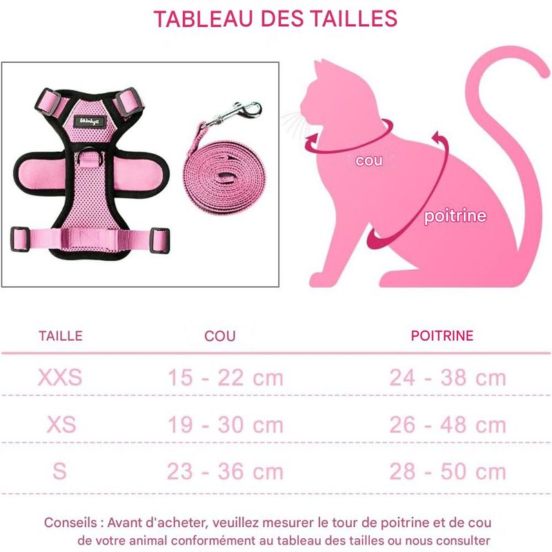 IntiMeg Harnais et Laisse pour Chat et Petit Chien