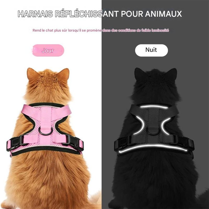 IntiMeg Harnais et Laisse pour Chat et Petit Chien