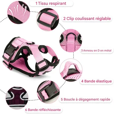 IntiMeg Harnais et Laisse pour Chat et Petit Chien IntiMeg Harnais et Laisse pour Chat et Petit Chien