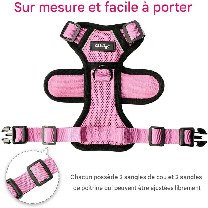IntiMeg Harnais et Laisse pour Chat et Petit Chien