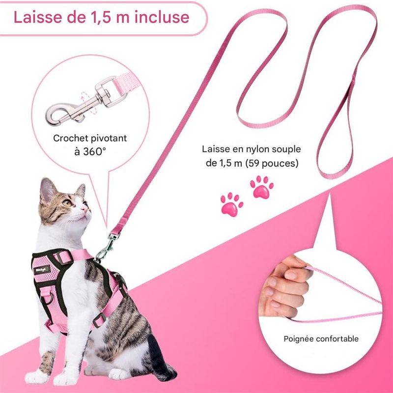 IntiMeg Harnais et Laisse pour Chat et Petit Chien