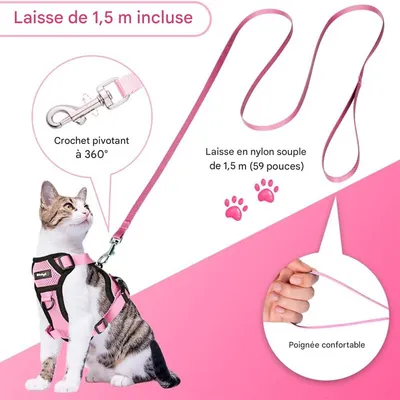 IntiMeg Harnais et Laisse pour Chat et Petit Chien IntiMeg Harnais et Laisse pour Chat et Petit Chien