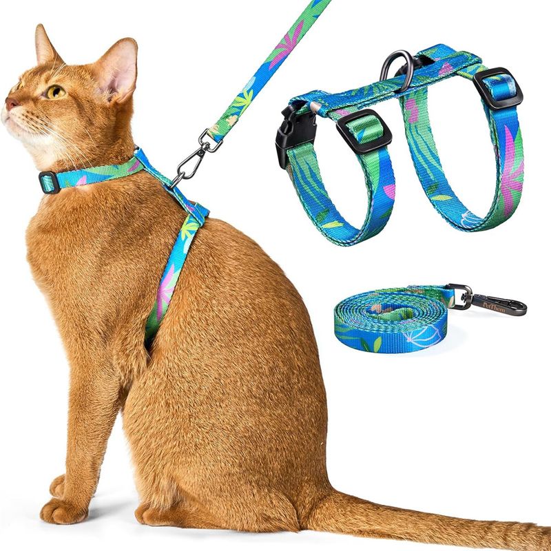 IntiMeg Harnais et Laisse pour Chat