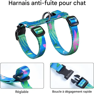 IntiMeg Harnais et Laisse pour Chat