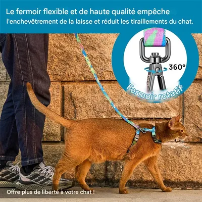 IntiMeg Harnais et Laisse pour Chat