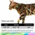 IntiMeg Harnais et Laisse pour Chat