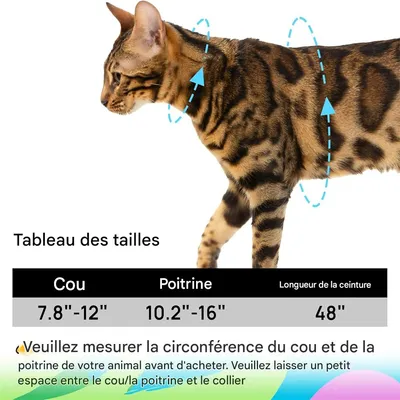 IntiMeg Harnais et Laisse pour Chat