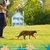 IntiMeg Harnais et Laisse pour Chat