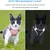 IntiMeg Harnais pour Chat et Petit Chien