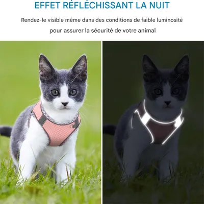 IntiMeg Harnais pour Chat et Petit Chien