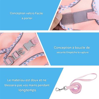 IntiMeg Arnés para gatos y perros pequeños