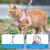 IntiMeg Harnais pour Chat et Petit Chien