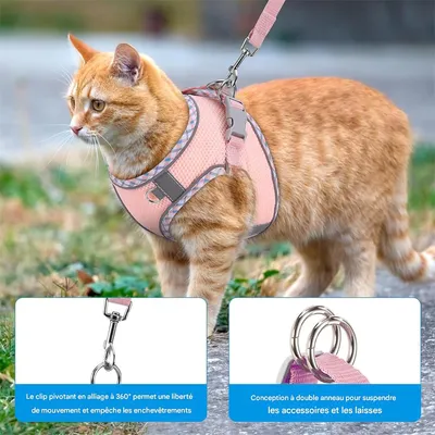IntiMeg Harnais pour Chat et Petit Chien