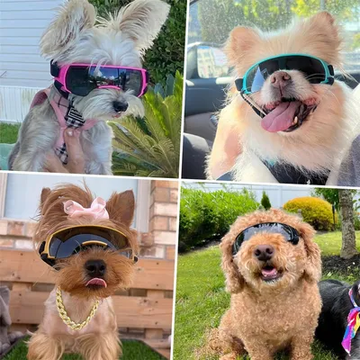 IntiMeg Sonnenbrille für kleine Hunde IntiMeg Sonnenbrille für kleine Hunde