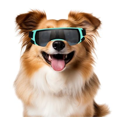 IntiMeg Lunettes de Soleil pour Petits Chiens