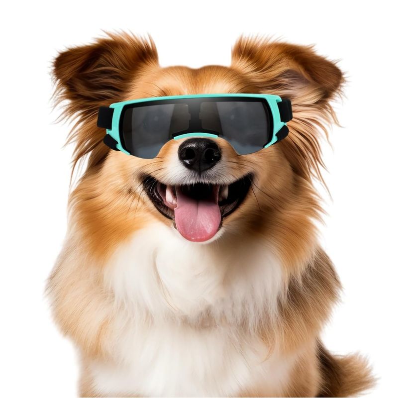 IntiMeg Sonnenbrille für kleine Hunde