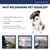 IntiMeg Sonnenbrille für kleine Hunde IntiMeg Sonnenbrille für kleine Hunde