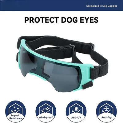 IntiMeg Sonnenbrille für kleine Hunde IntiMeg Sonnenbrille für kleine Hunde