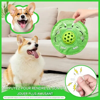 Pet Planet Frisbee interactif pour chien