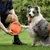 Pet Planet Chiens Frisbee FunPack