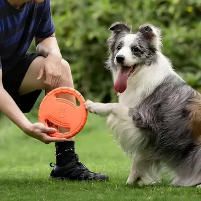 Pet Planet Chiens Frisbee FunPack