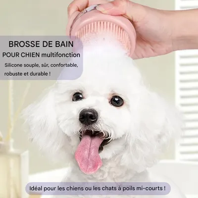 ZooVenture Toilettage Massage Lot Brosses Pour Chiens