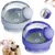 ZooVenture Toilettage Massage Lot Brosses Pour Chiens ZooVenture Toilettage Massage Lot Brosses Pour Chiens