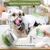 Pet Planet Chiens SoftClean 2 Brosses de Bain pour Chiens