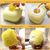 Petopia  Brosse de bain pour animaux de compagnie