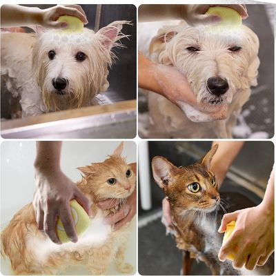 Petopia  Brosse de bain pour animaux de compagnie