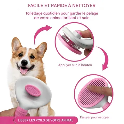 Pet Planet Chiens et Chats CleanCare Kit de Toilettage