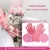 Pet Planet Chiens et Chats CleanCare Kit de Toilettage