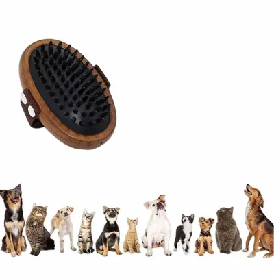 Petopia Brosse en silicone pour animaux de compagnie