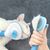 Pet Planet Chiens et Chats CleanCare Kit de Toilettage