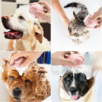 ZooVenture Massage Enlève Poils Mort Brosse De Bain Pour Chiens Chats