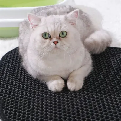 Pet Planet Tapis de litière pour chat en forme de chat