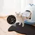 Pet Planet Tapis de litière pour chat en forme de chat