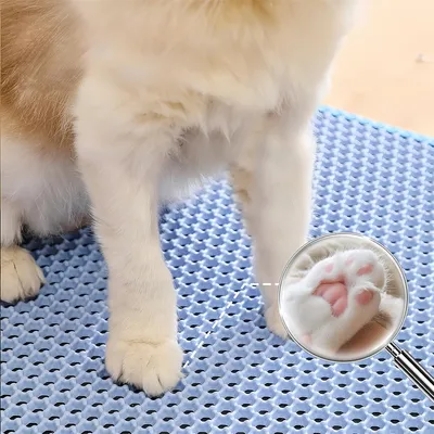 Pet Planet Tapis de litière pour chat en forme de chat