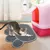 IntiMeg Tapis de litière pour chats et chiens