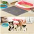 IntiMeg Tapis de litière pour chats et chiens 30*40CM
