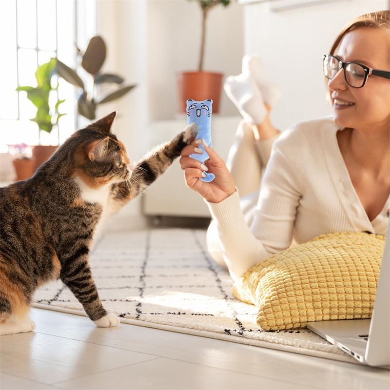 IntiMeg Jouets pour chats en herbe à chat 5PCS