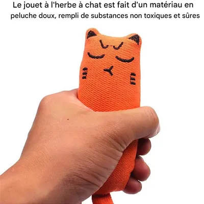 IntiMeg Jouets pour chats en herbe à chat 5PCS