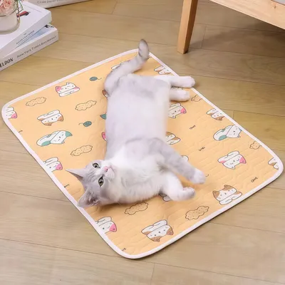 Tapis rafraîchissant pour animaux - Imperméable, pour chiens et chats