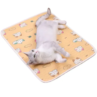 Tapis rafraîchissant pour animaux - Imperméable, pour chiens et chats