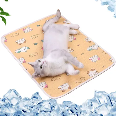 Tapis rafraîchissant pour animaux - Imperméable, pour chiens et chats