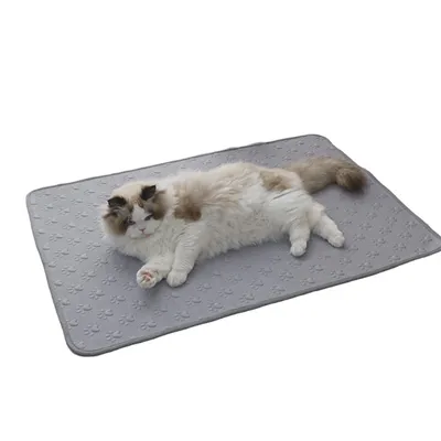 Pet Planet Colchón refrescante para mascotas de 100×70 cm