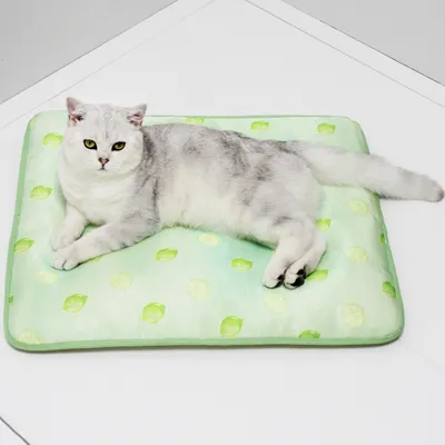 IntiMeg Tapis de refroidissement pour chien