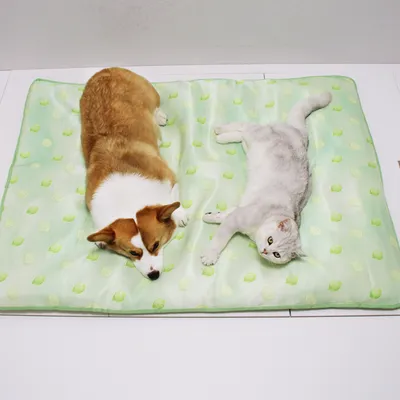 IntiMeg Tapis de refroidissement pour chien